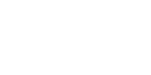 Ally Health client logo
