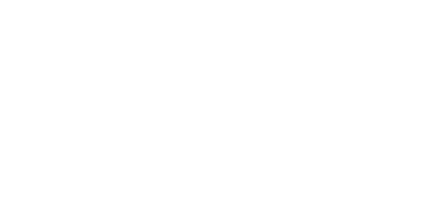 Hindu Tamil Theesai client logo